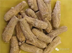如何辨别进口西洋参 学会它们不再上当