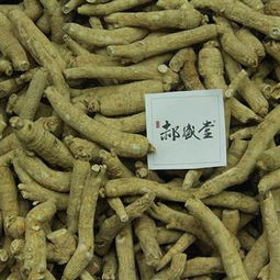 西洋参 长枝 郝盛堂西洋参所有品规可供选择