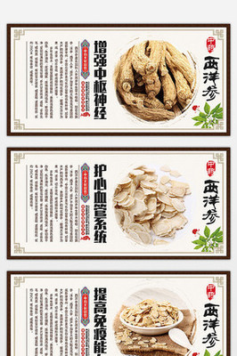 中国风中药西洋参展板挂画