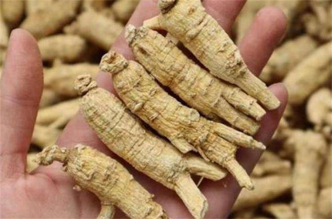 西洋参怎么吃,西洋参的吃法,探索不同的食用方法