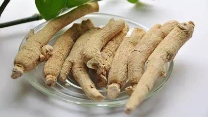 【本草中药】西洋参