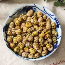 灵芝孢子粉 石斛 西洋参堪称 滋补三大金刚 ,让你身体棒棒哒