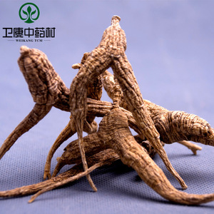【野生西洋参】野生西洋参价格/图片_野生西洋参批发/采购_野生西洋参厂家/供应商