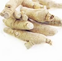 吉林人参批发与西洋参供应指南 价格与厂家信息解析