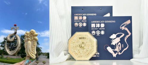 获奖作品 你,巳巳如意选年货