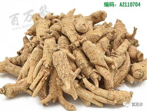 西洋参规格分类大全在此 走遍市场再也不怕价不对货